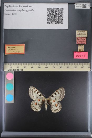 Media type: image;   Entomology 72424